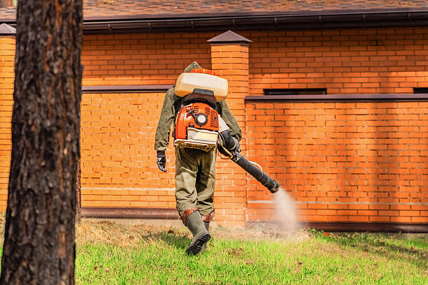 Trusted Rodent Control service in Kenneth City, FL - Nex Pest Control